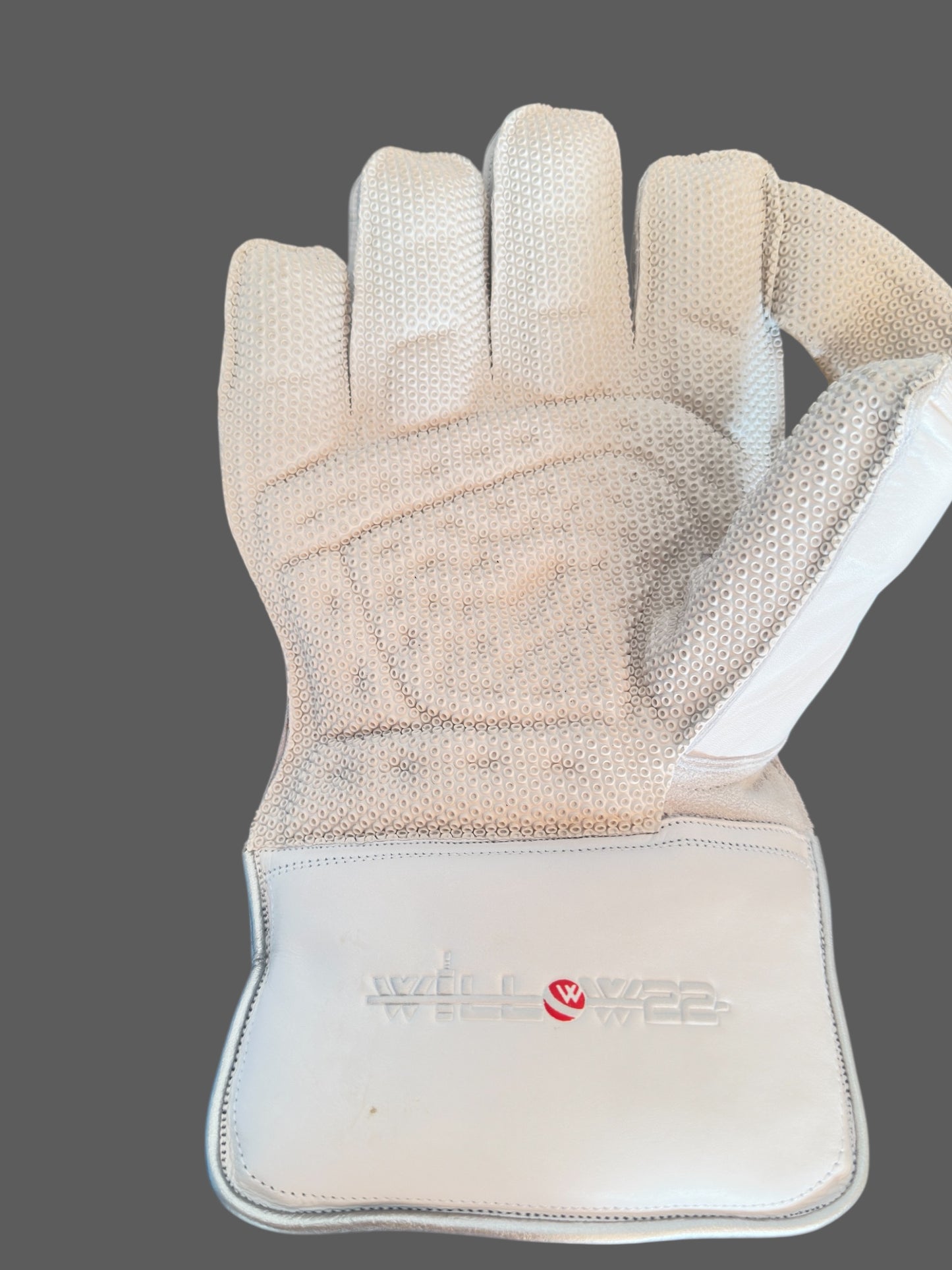 PRO WICKET KEEPING GLOVES
