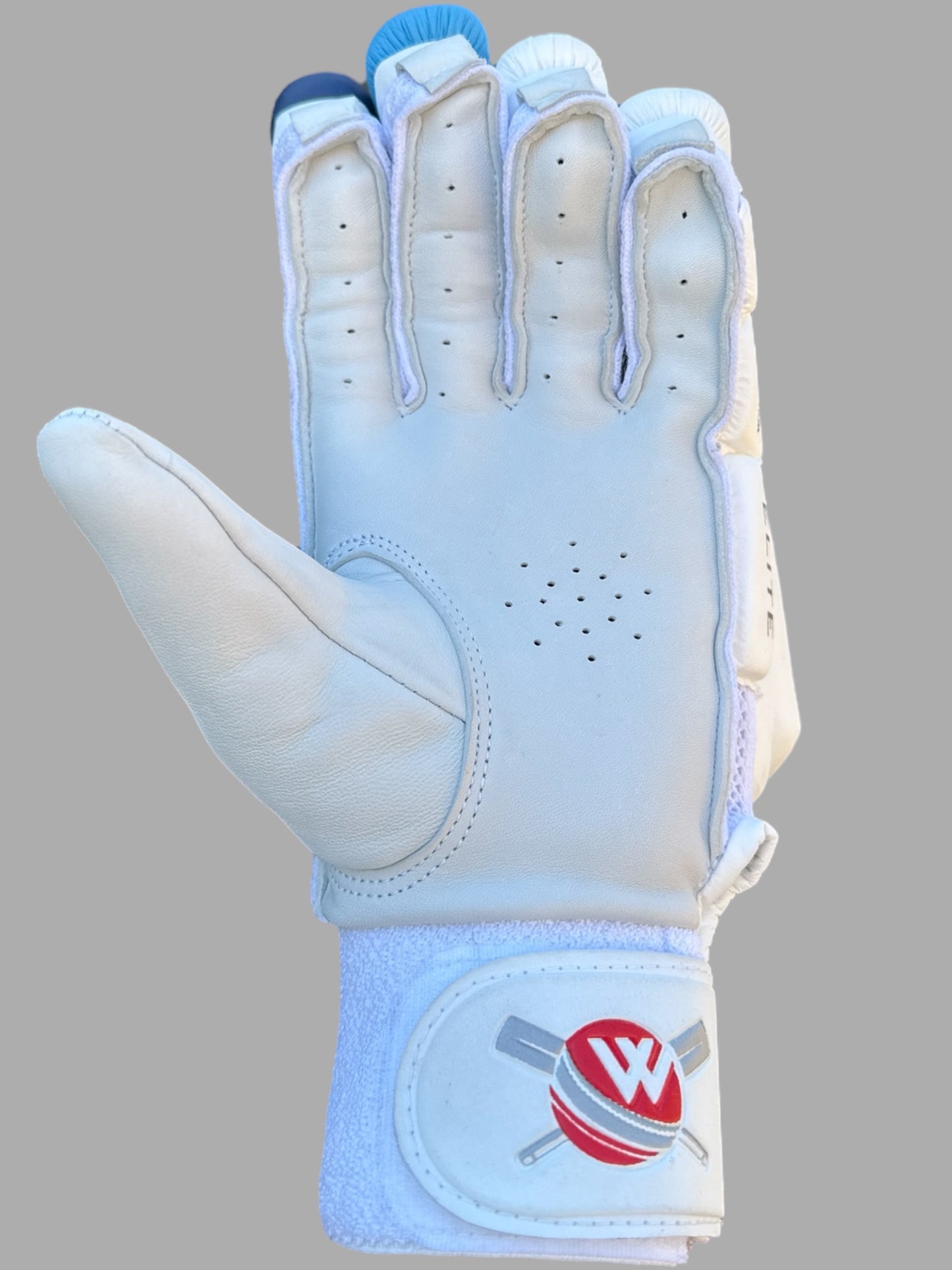RAGNAR BATTING GLOVES