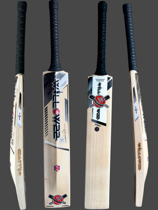 Willow22 PRO EDITION